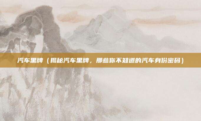 汽车黑牌（揭秘汽车黑牌，那些你不知道的汽车身份密码）