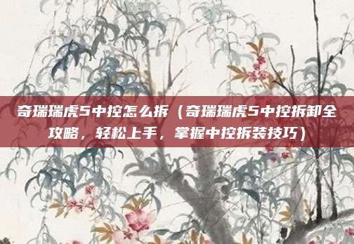 奇瑞瑞虎5中控怎么拆（奇瑞瑞虎5中控拆卸全攻略，轻松上手，掌握中控拆装技巧）