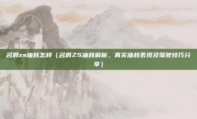 名爵zs油耗怎样（名爵ZS油耗解析，真实油耗表现及驾驶技巧分享）