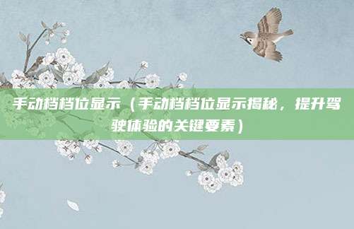 手动档档位显示（手动档档位显示揭秘，提升驾驶体验的关键要素）
