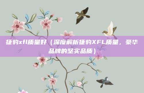 捷豹xfl质量好（深度解析捷豹XFL质量，豪华品牌的坚实品质）
