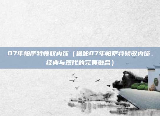 07年帕萨特领驭内饰（揭秘07年帕萨特领驭内饰，经典与现代的完美融合）