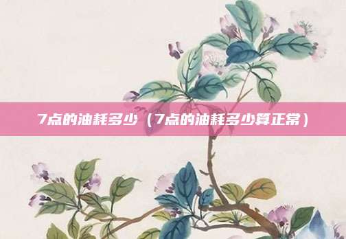 7点的油耗多少(7点的油耗多少算正常)