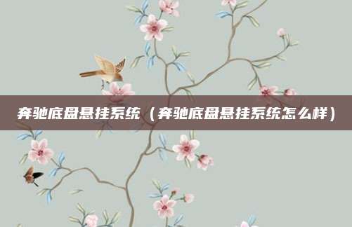 奔驰底盘悬挂系统(奔驰底盘悬挂系统怎么样)