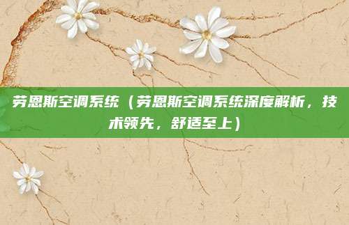 劳恩斯空调系统（劳恩斯空调系统深度解析，技术领先，舒适至上）