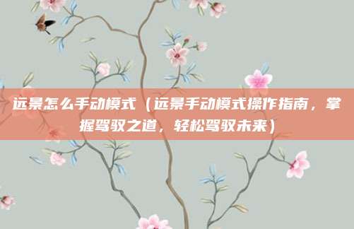 远景怎么手动模式（远景手动模式操作指南，掌握驾驭之道，轻松驾驭未来）