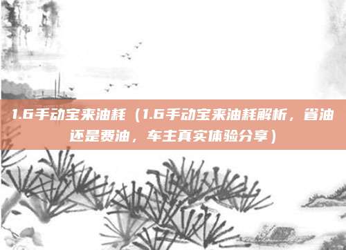 1.6手动宝来油耗（1.6手动宝来油耗解析，省油还是费油，车主真实体验分享）