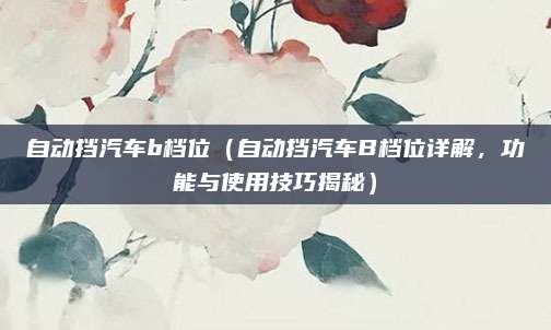 自动挡汽车b档位（自动挡汽车B档位详解，功能与使用技巧揭秘）