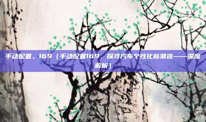 手动配置。169（手动配置169，探寻汽车个性化新潮流——深度解析）