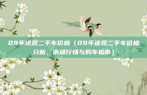 09年途观二手车价格（09年途观二手车价格分析，市场行情与购车指南）