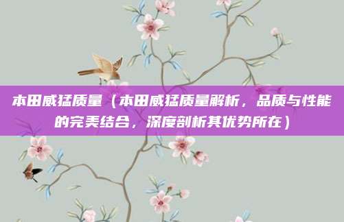 本田威猛质量（本田威猛质量解析，品质与性能的完美结合，深度剖析其优势所在）