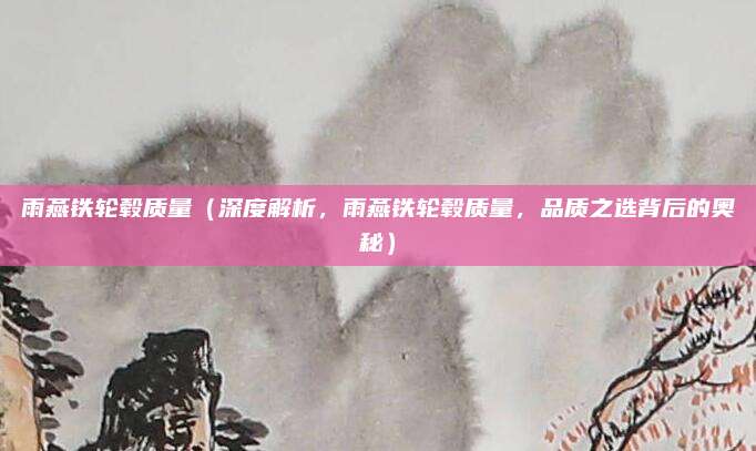 雨燕铁轮毂质量（深度解析，雨燕铁轮毂质量，品质之选背后的奥秘）