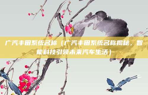 广汽丰田系统名称（广汽丰田系统名称揭秘，智能科技引领未来汽车生活）