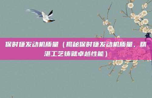 保时捷发动机质量（揭秘保时捷发动机质量，精湛工艺铸就卓越性能）