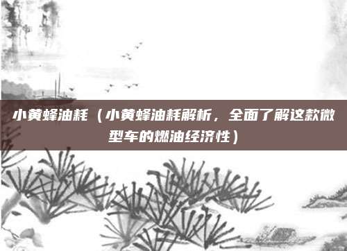 小黄蜂油耗（小黄蜂油耗解析，全面了解这款微型车的燃油经济性）