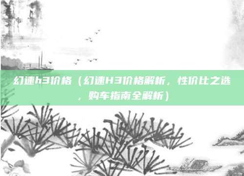幻速h3价格（幻速H3价格解析，性价比之选，购车指南全解析）