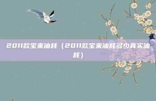 2011款宝来油耗（2011款宝来油耗多少真实油耗）
