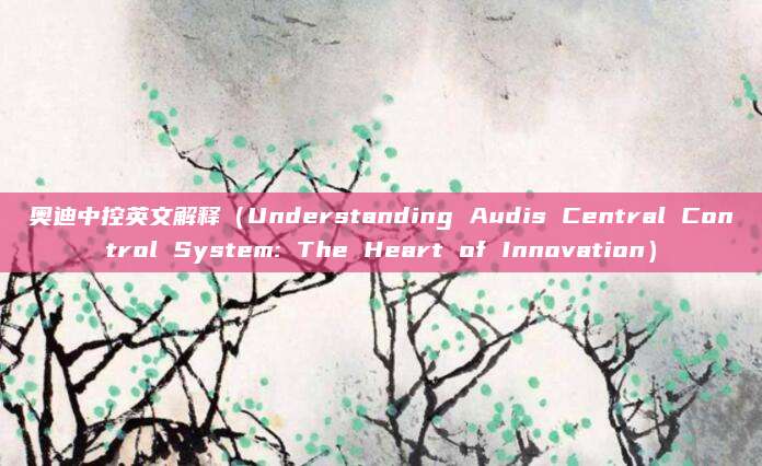 奥迪中控英文解释（Understanding Audis Central Control System: The Heart of Innovation）