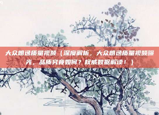大众朗逸质量视频（深度解析，大众朗逸质量视频曝光，品质究竟如何？权威数据解读！）