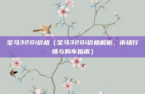 宝马320i价格（宝马320i价格解析，市场行情与购车指南）