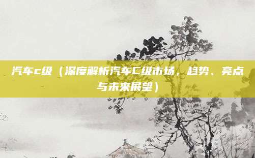 汽车c级（深度解析汽车C级市场，趋势、亮点与未来展望）