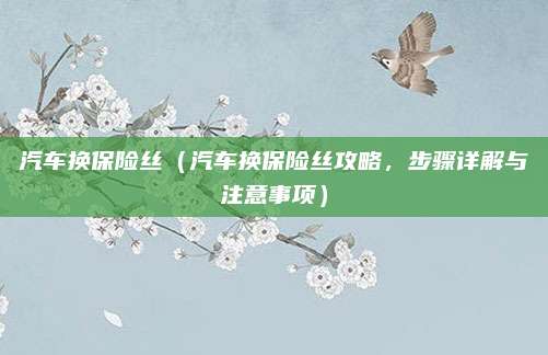 汽车换保险丝（汽车换保险丝攻略，步骤详解与注意事项）