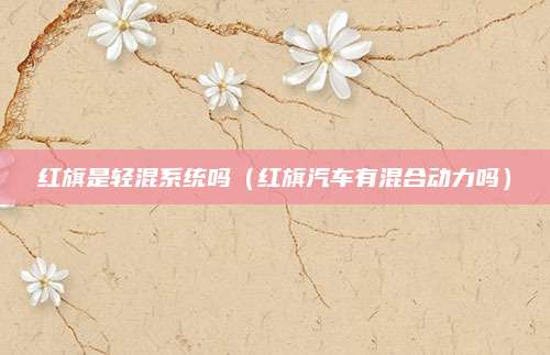 红旗是轻混系统吗（红旗汽车有混合动力吗）