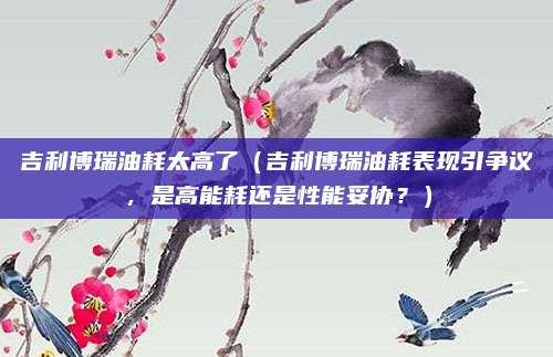 吉利博瑞油耗太高了（吉利博瑞油耗表现引争议，是高能耗还是性能妥协？）