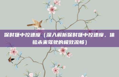 保时捷中控速度（深入解析保时捷中控速度，体验未来驾驶的极致流畅）