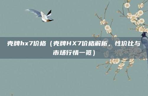 壳牌hx7价格（壳牌HX7价格解析，性价比与市场行情一览）
