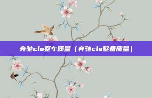 奔驰cla整车质量（奔驰cla整备质量）