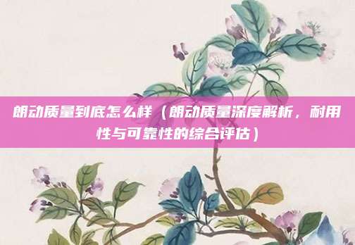 朗动质量到底怎么样（朗动质量深度解析，耐用性与可靠性的综合评估）