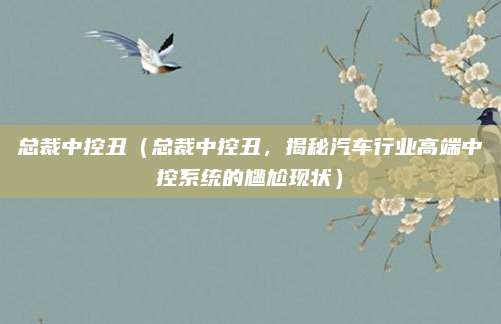 总裁中控丑（总裁中控丑，揭秘汽车行业高端中控系统的尴尬现状）