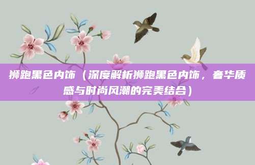 狮跑黑色内饰（深度解析狮跑黑色内饰，奢华质感与时尚风潮的完美结合）