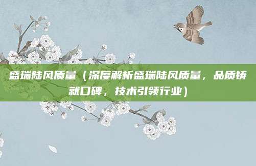 盛瑞陆风质量（深度解析盛瑞陆风质量，品质铸就口碑，技术引领行业）