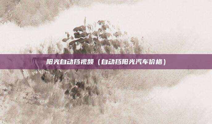 阳光自动挡视频(自动挡阳光汽车价格)