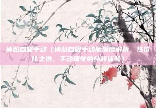 博越自吸手动（博越自吸手动版深度解析，性价比之选，手动驾驶的纯粹体验）