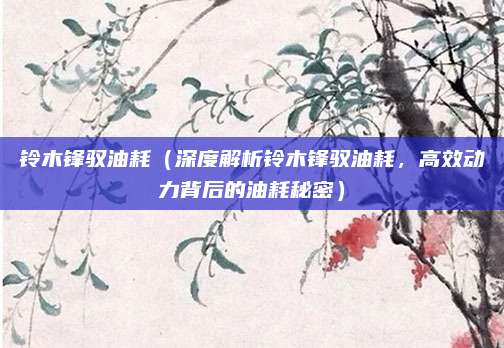 铃木锋驭油耗（深度解析铃木锋驭油耗，高效动力背后的油耗秘密）