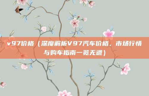 v97价格（深度解析V97汽车价格，市场行情与购车指南一览无遗）