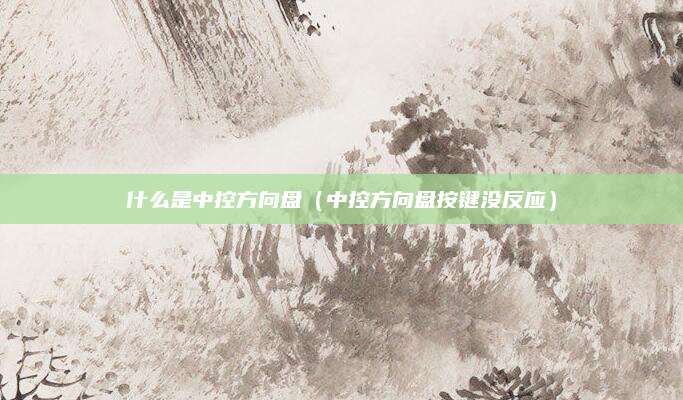 什么是中控方向盘(中控方向盘按键没反应)