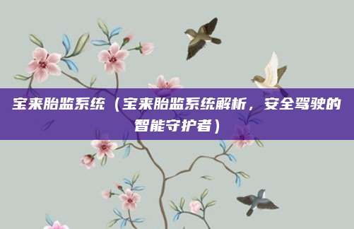 宝来胎监系统（宝来胎监系统解析，安全驾驶的智能守护者）