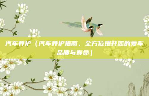 汽车养护（汽车养护指南，全方位提升您的爱车品质与寿命）
