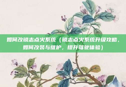 如何改锐志点火系统(锐志点火系统升级攻略,如何改装与维护,提升驾驶体验)