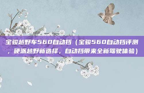 宝骏越野车560自动挡（宝骏560自动挡评测，硬派越野新选择，自动挡带来全新驾驶体验）