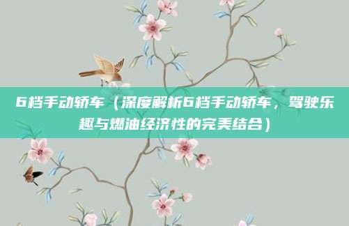 6档手动轿车(深度解析6档手动轿车,驾驶乐趣与燃油经济性的完美结合)