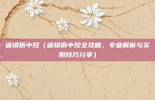 途锐拆中控（途锐拆中控全攻略，专业解析与实用技巧分享）