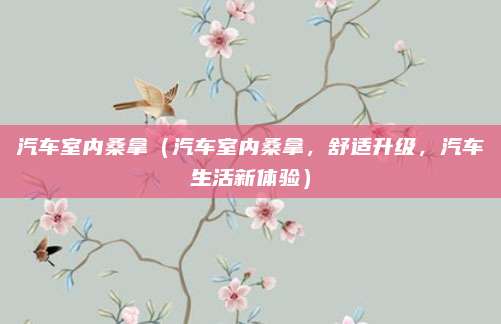 汽车室内桑拿（汽车室内桑拿，舒适升级，汽车生活新体验）
