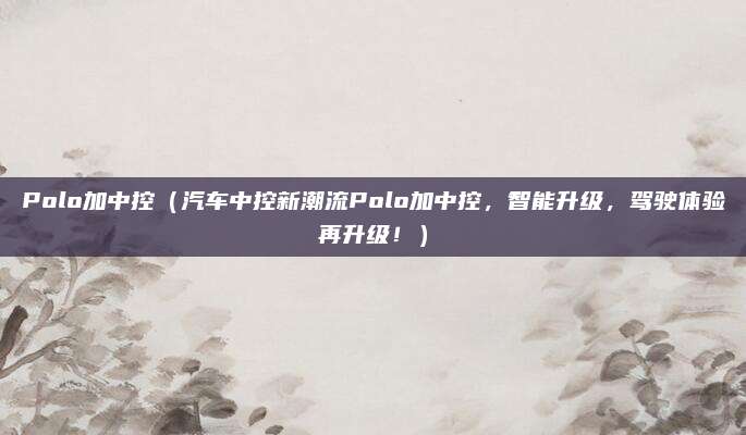 Polo加中控（汽车中控新潮流Polo加中控，智能升级，驾驶体验再升级！）