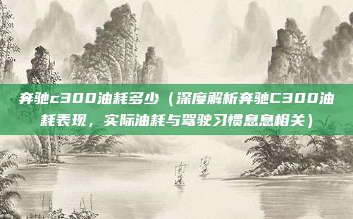 奔驰c300油耗多少（深度解析奔驰C300油耗表现，实际油耗与驾驶习惯息息相关）