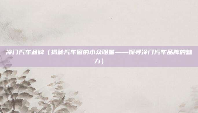 冷门汽车品牌（揭秘汽车圈的小众明星——探寻冷门汽车品牌的魅力）